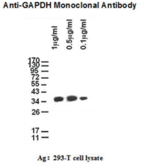 5f61812b53413.png image.png