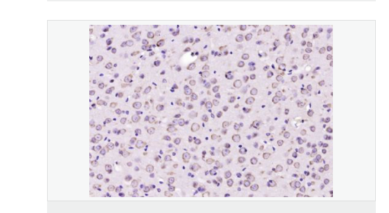 607689c7c6c8d.png image.png