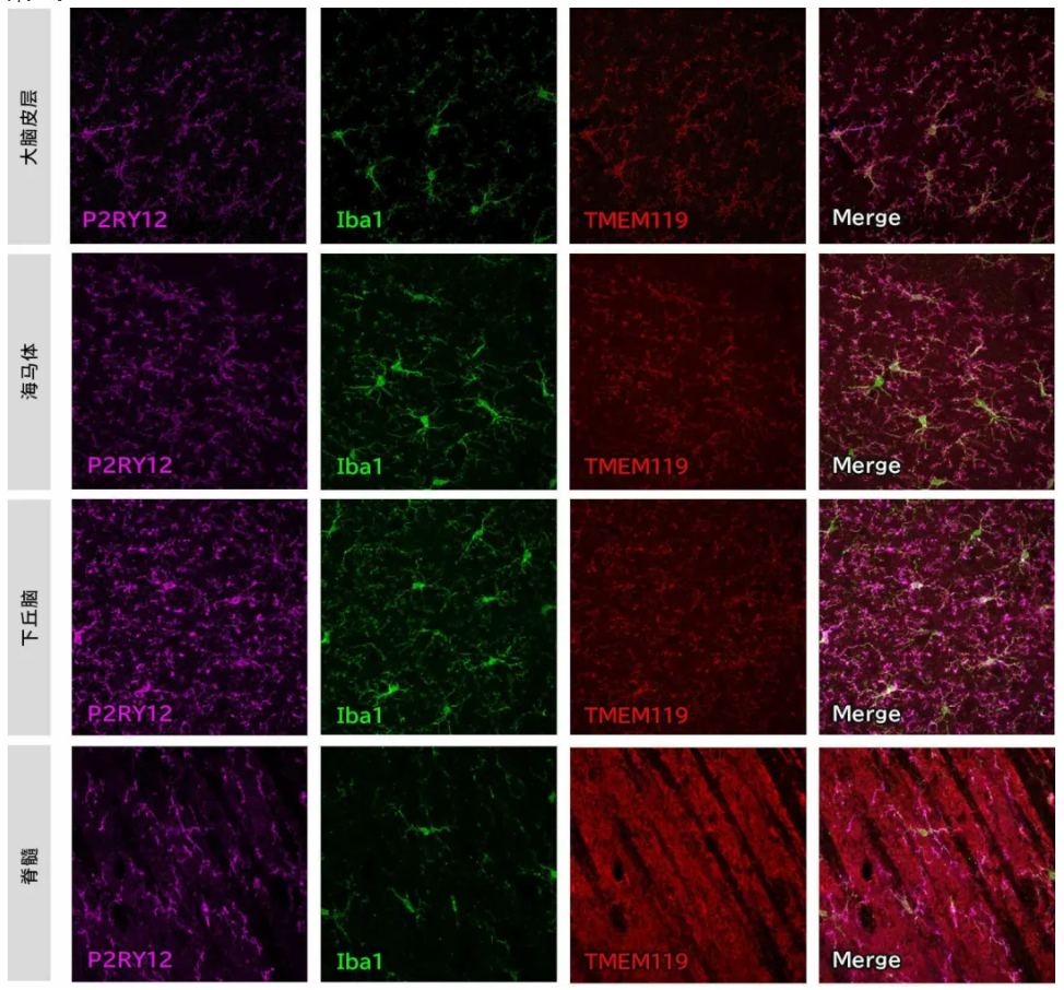 67ab006b35e52.png image.png