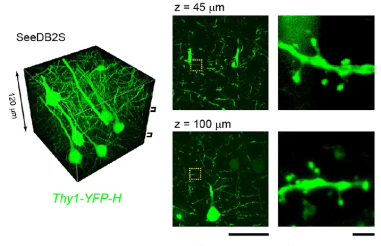 67ab0902bc81b.png image.png