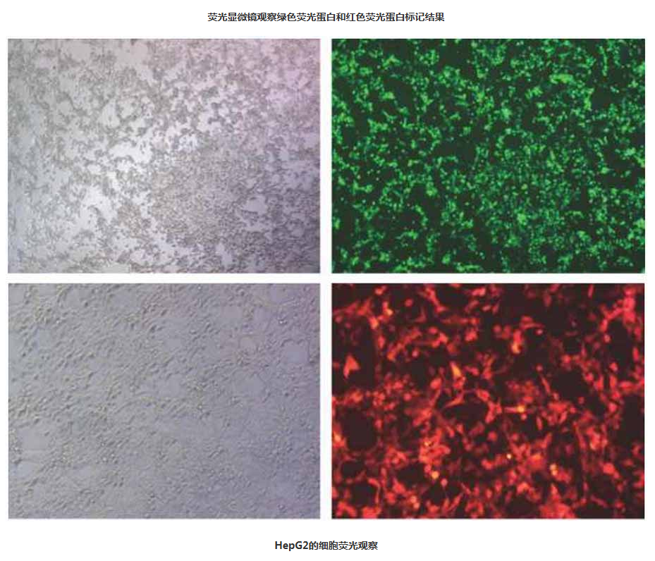 68ea0afd1f932.png image.png